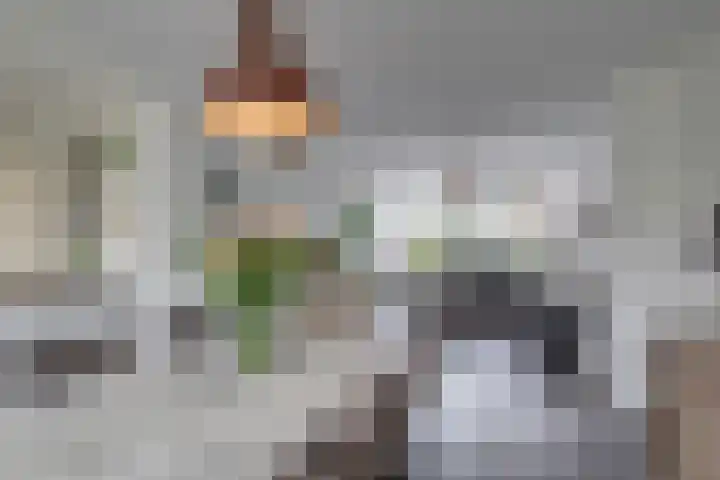 Fazantlaan 14 Leidschendam thumbnail 10