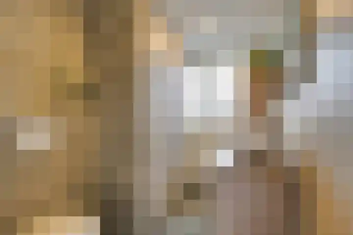 Fazantlaan 14 Leidschendam thumbnail 17