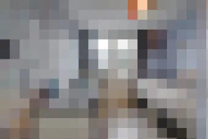 Fazantlaan 14 Leidschendam thumbnail 19
