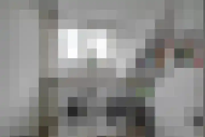 Fazantlaan 14 Leidschendam thumbnail 23