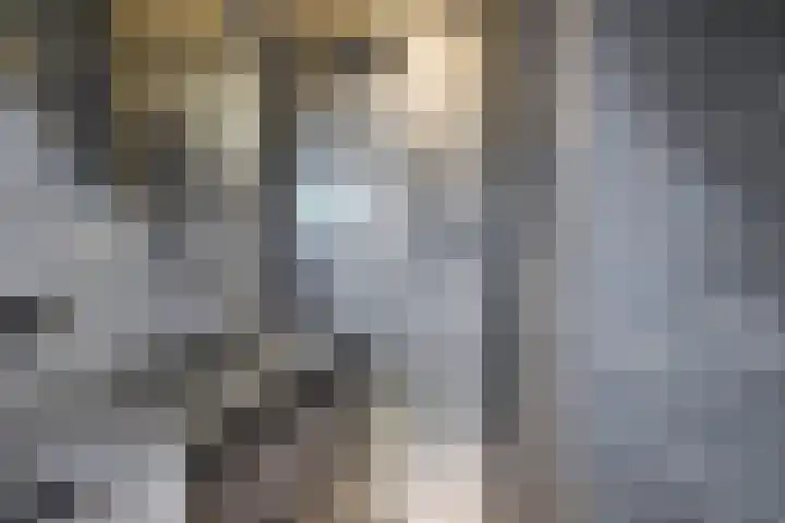 Fazantlaan 14 Leidschendam thumbnail 27