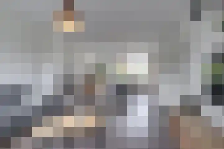 Fazantlaan 14 Leidschendam thumbnail 9