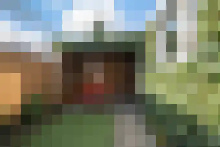 Fazantlaan 14 Schiedam thumbnail 12