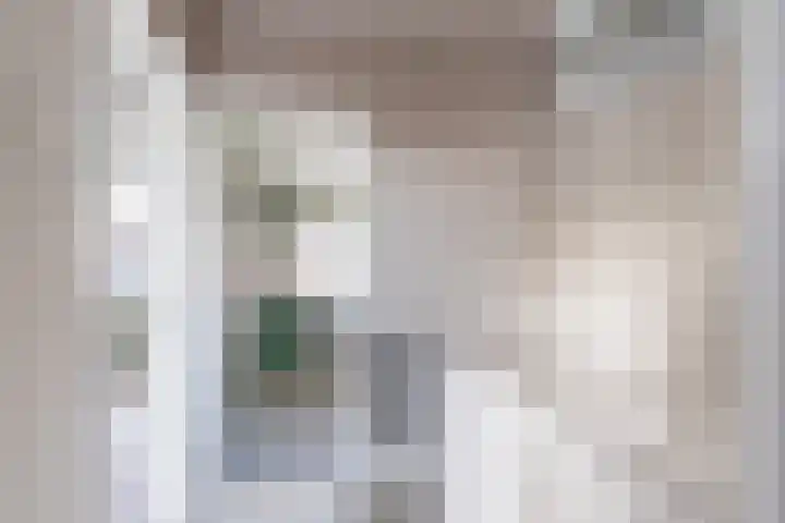 Fazantlaan 14 Schiedam thumbnail 19