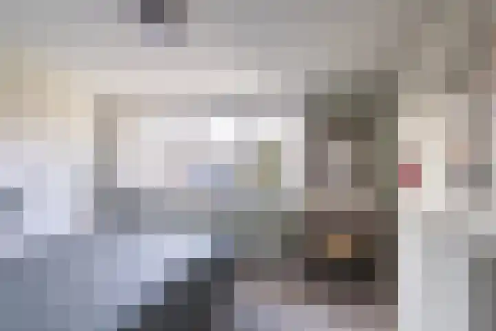Fazantlaan 14 Schiedam thumbnail 20