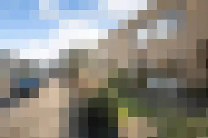 Fazantlaan 14 Schiedam thumbnail 30