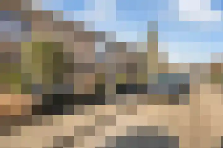 Fazantlaan 14 Schiedam thumbnail 32