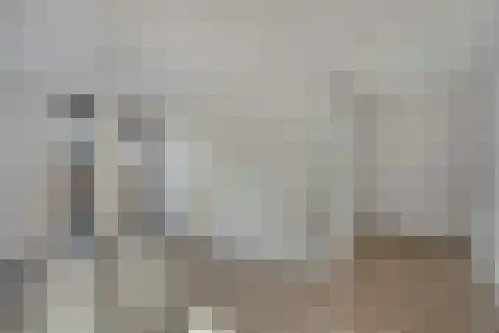 Fazantlaan 143 Budel thumbnail 15