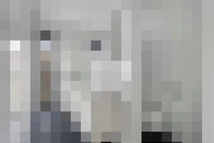 Fazantlaan 143 Budel thumbnail 18