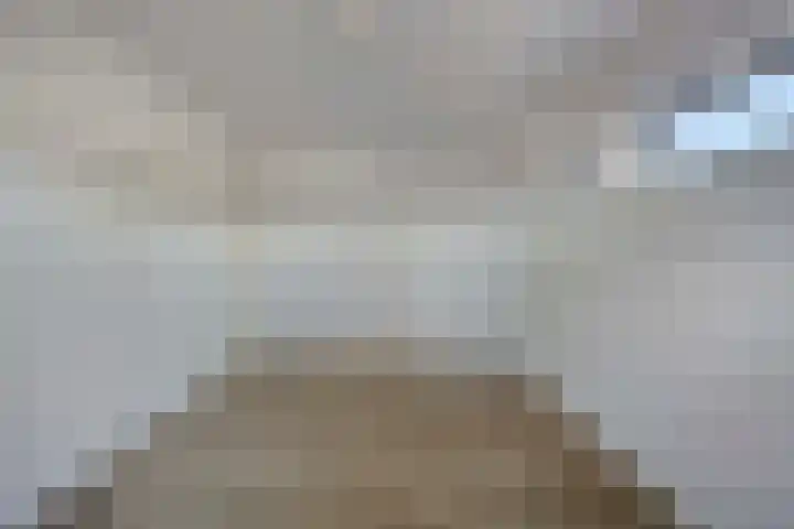 Fazantlaan 143 Budel thumbnail 26