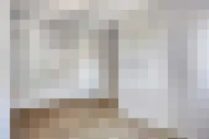 Fazantlaan 143 Budel thumbnail 30