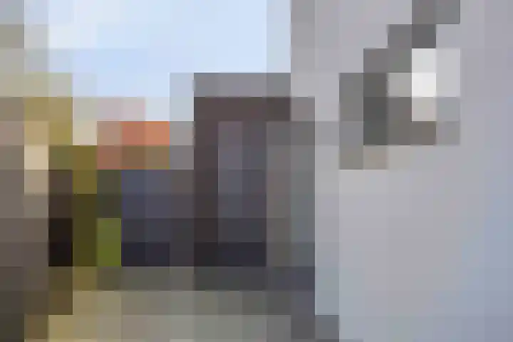 Fazantlaan 143 Budel thumbnail 31