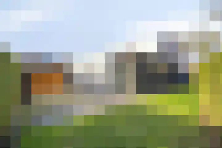Fazantlaan 143 Budel thumbnail 33