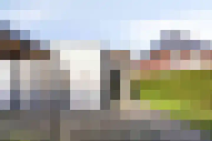 Fazantlaan 143 Budel thumbnail 36