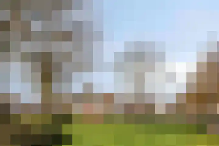 Fazantlaan 143 Budel thumbnail 37