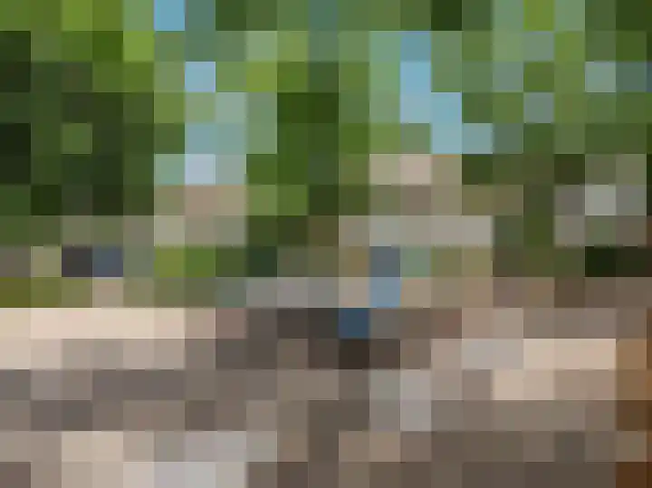 Fazantlaan 15 Noordwijkerhout thumbnail 37