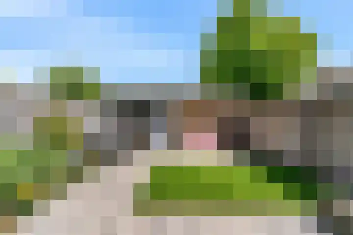 Fazantlaan 15 Noordwijkerhout thumbnail 4