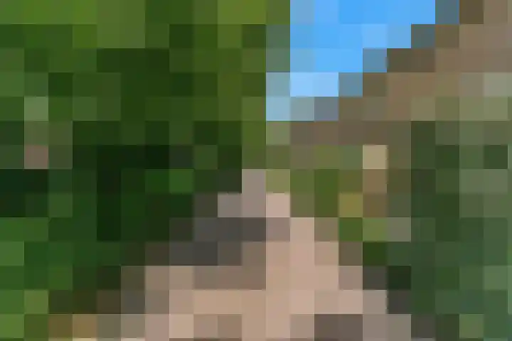 Fazantlaan 15 Noordwijkerhout thumbnail 6