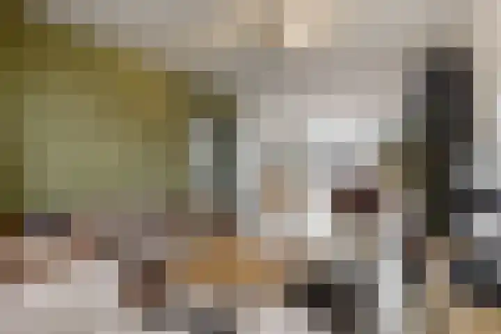 Fazantlaan 15 Noordwijkerhout thumbnail 9