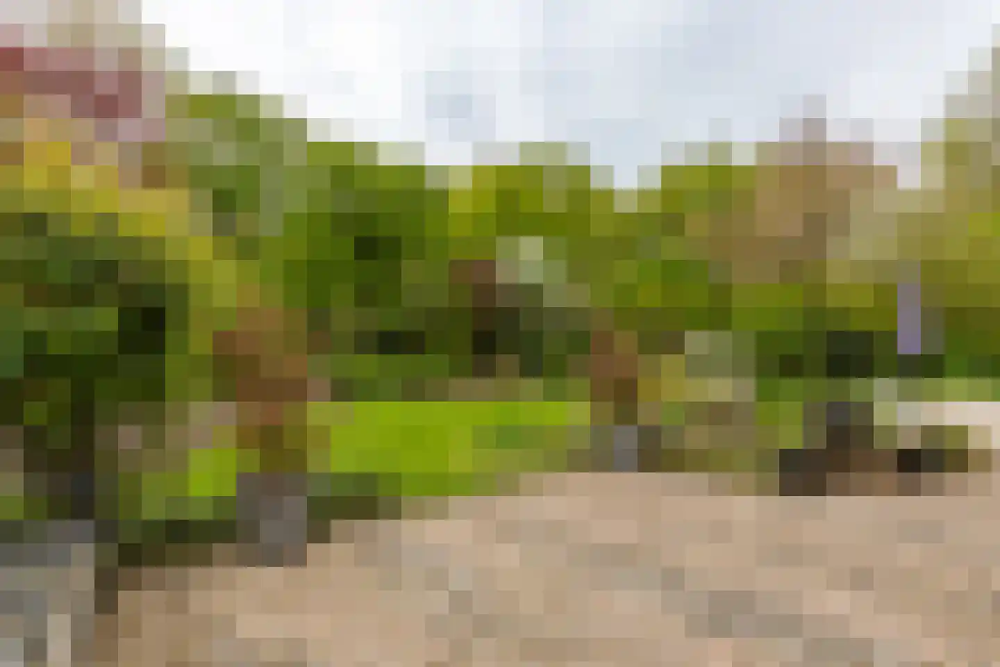 Fazantlaan 19 Almere thumbnail 34