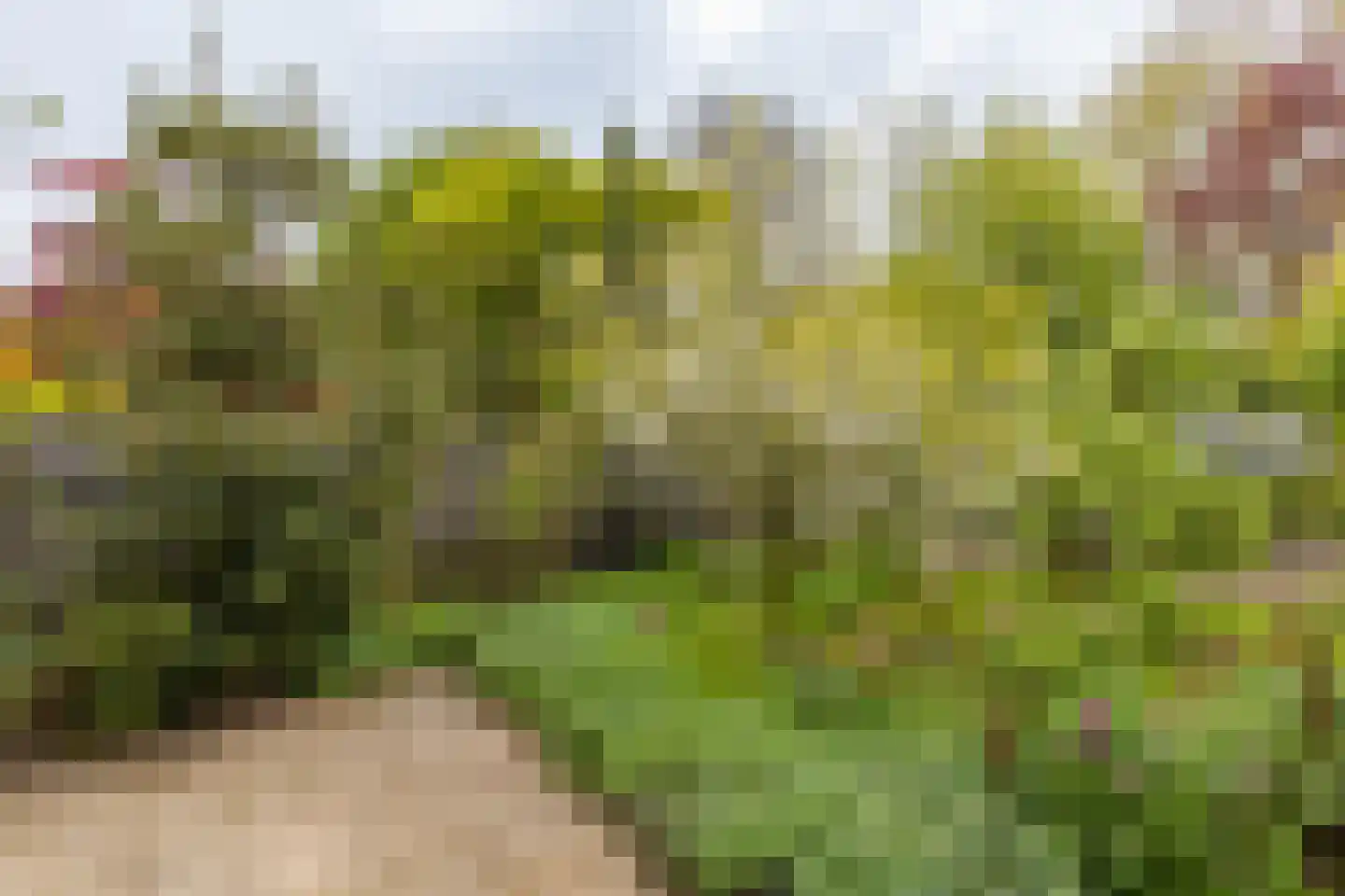 Fazantlaan 19 Almere thumbnail 35