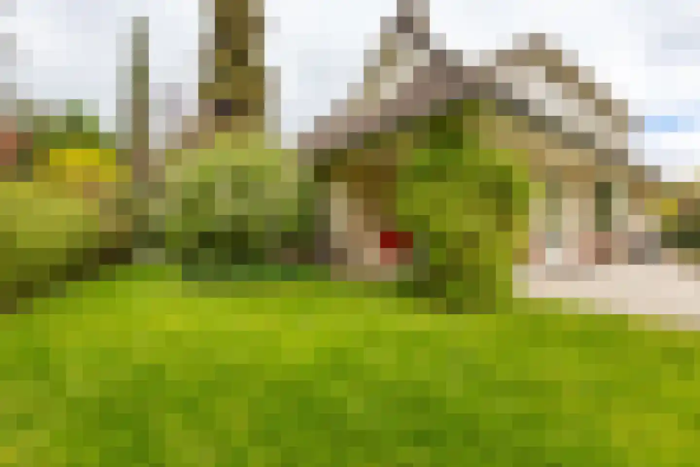 Fazantlaan 19 Almere thumbnail 45