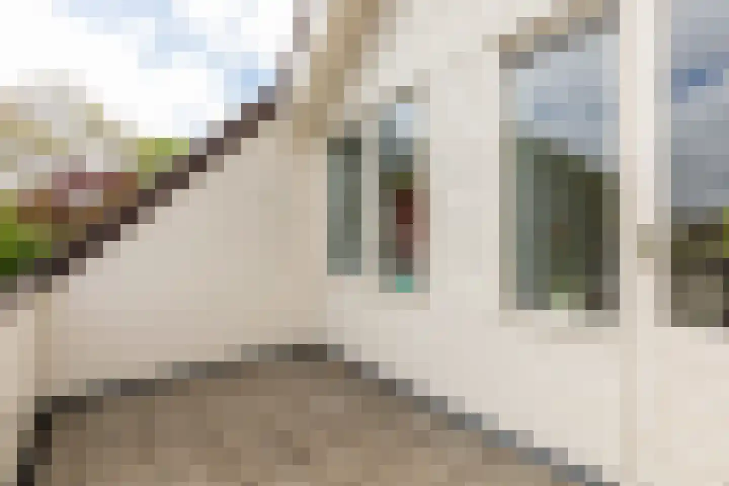 Fazantlaan 19 Almere thumbnail 72