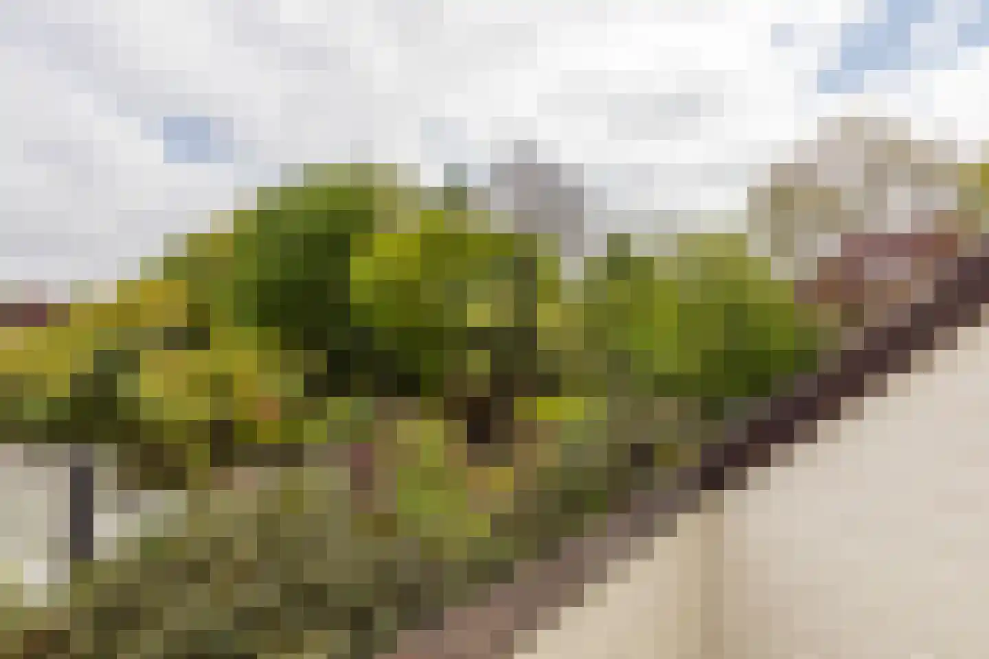 Fazantlaan 19 Almere thumbnail 74