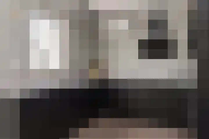 Fazantlaan 2 Berkel-Enschot thumbnail 15