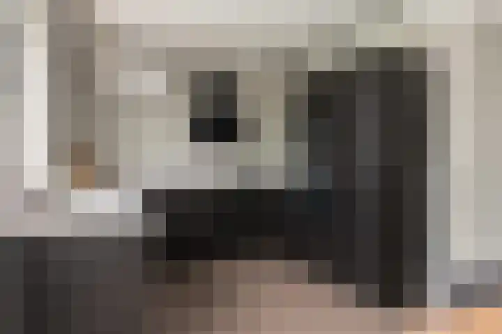 Fazantlaan 2 Berkel-Enschot thumbnail 16