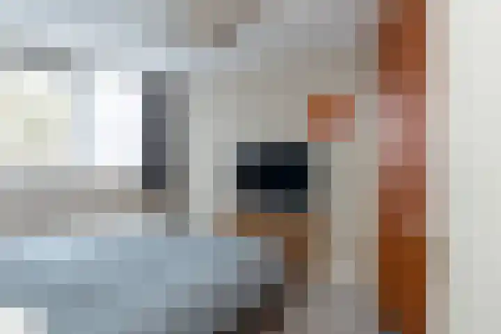 Fazantlaan 2 Berkel-Enschot thumbnail 21