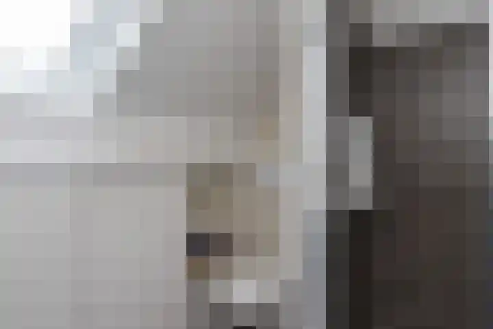 Fazantlaan 2 Berkel-Enschot thumbnail 30