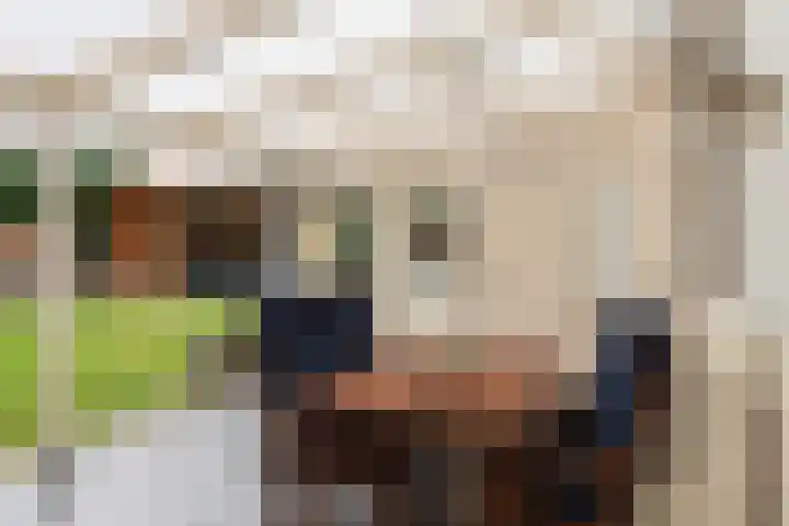 Fazantlaan 2 Berkel-Enschot thumbnail 36