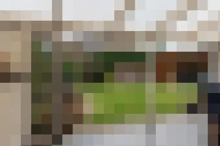 Fazantlaan 2 Berkel-Enschot thumbnail 38