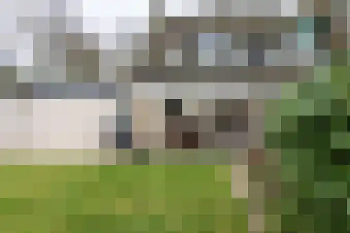 Fazantlaan 2 Berkel-Enschot thumbnail 41