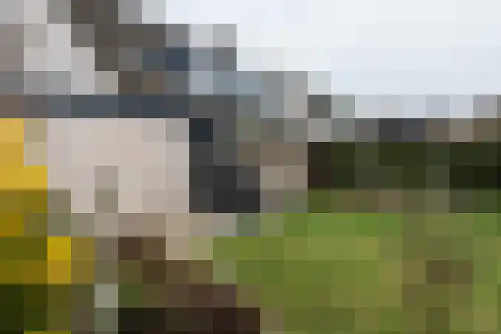Fazantlaan 2 Berkel-Enschot thumbnail 44
