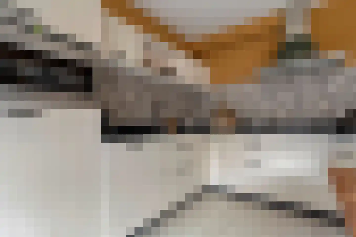Fazantlaan 2 Ruinerwold thumbnail 10