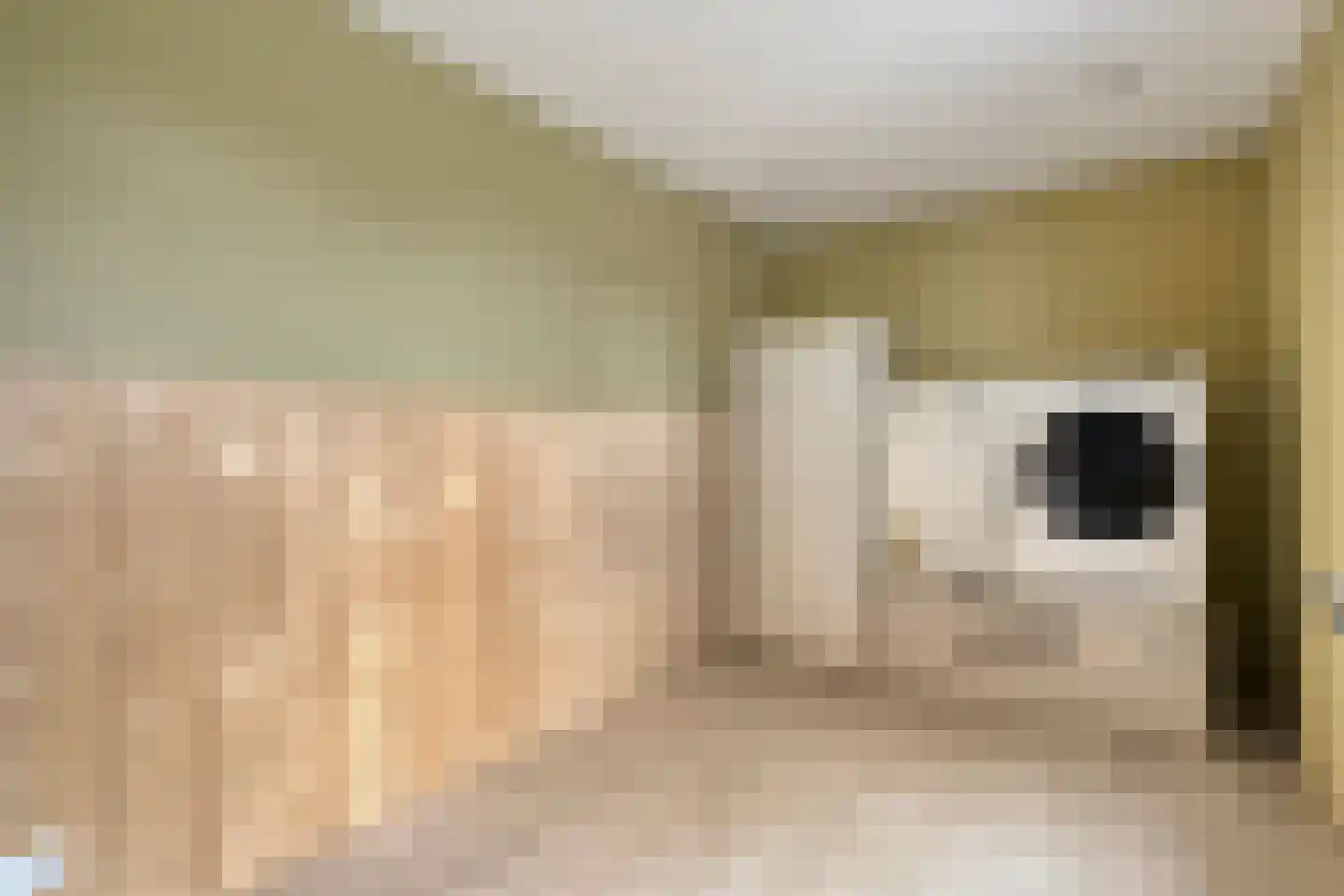 Fazantlaan 2 Ruinerwold thumbnail 11