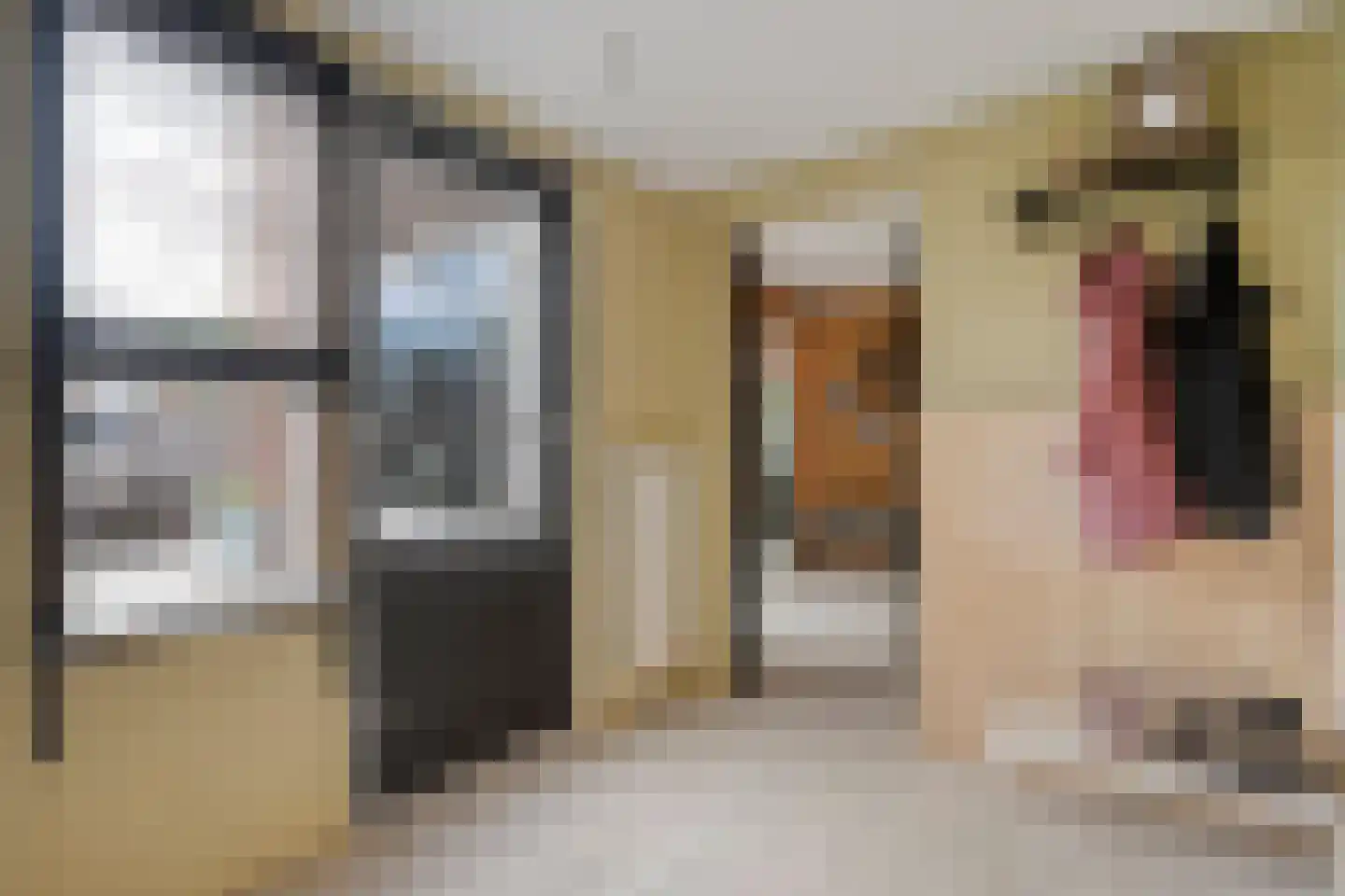 Fazantlaan 2 Ruinerwold thumbnail 12