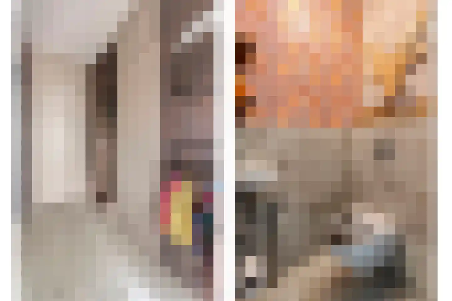 Fazantlaan 2 Ruinerwold thumbnail 14
