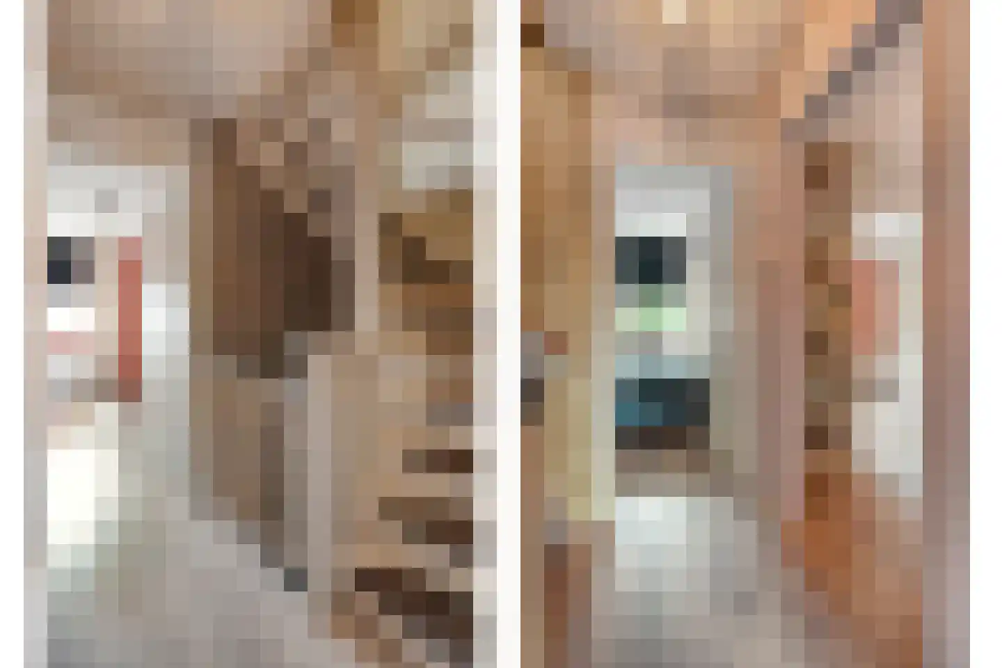Fazantlaan 2 Ruinerwold thumbnail 15