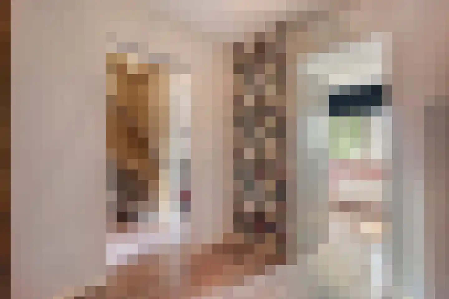 Fazantlaan 2 Ruinerwold thumbnail 18