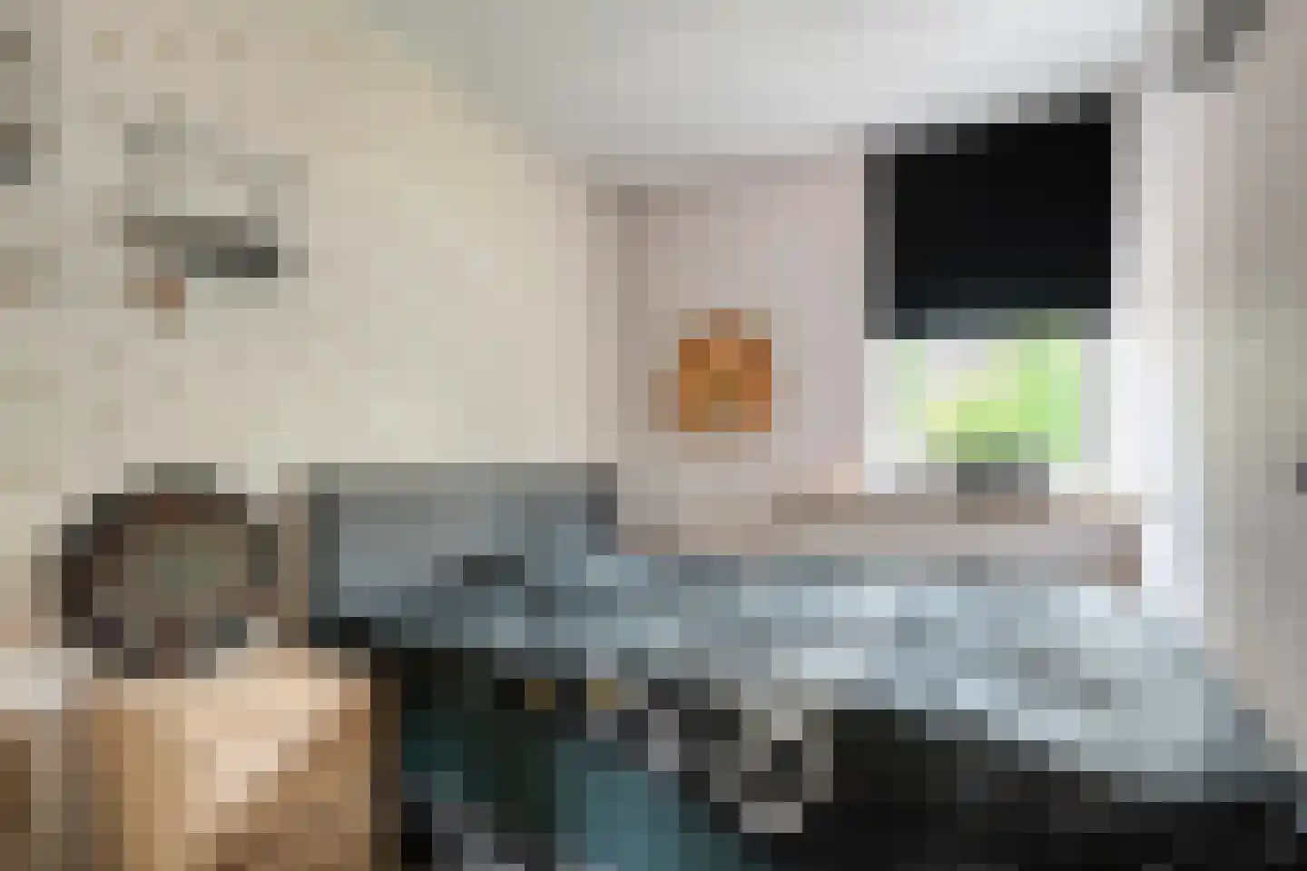 Fazantlaan 2 Ruinerwold thumbnail 23