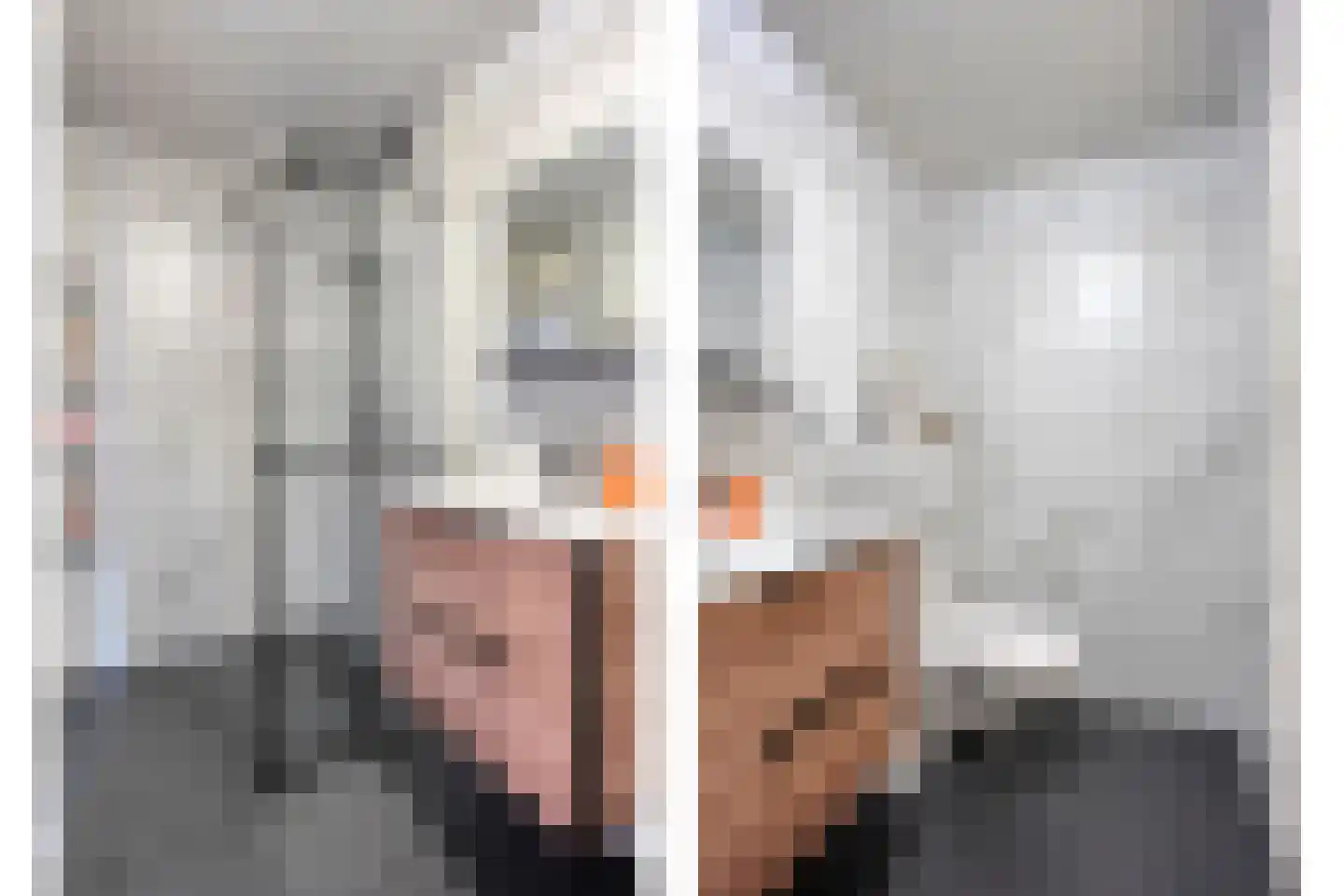Fazantlaan 2 Ruinerwold thumbnail 24