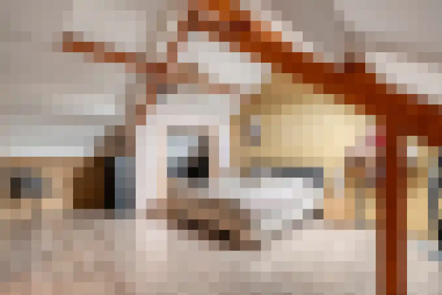 Fazantlaan 2 Ruinerwold thumbnail 26