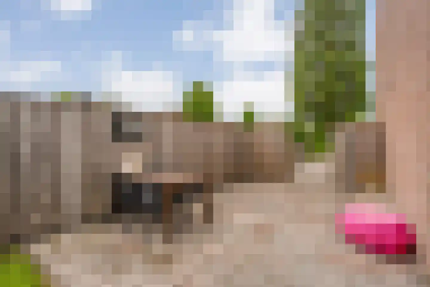 Fazantlaan 2 Ruinerwold thumbnail 28