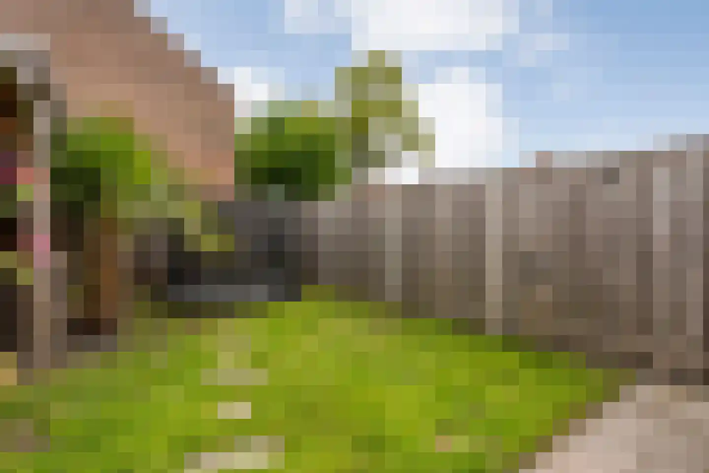 Fazantlaan 2 Ruinerwold thumbnail 31