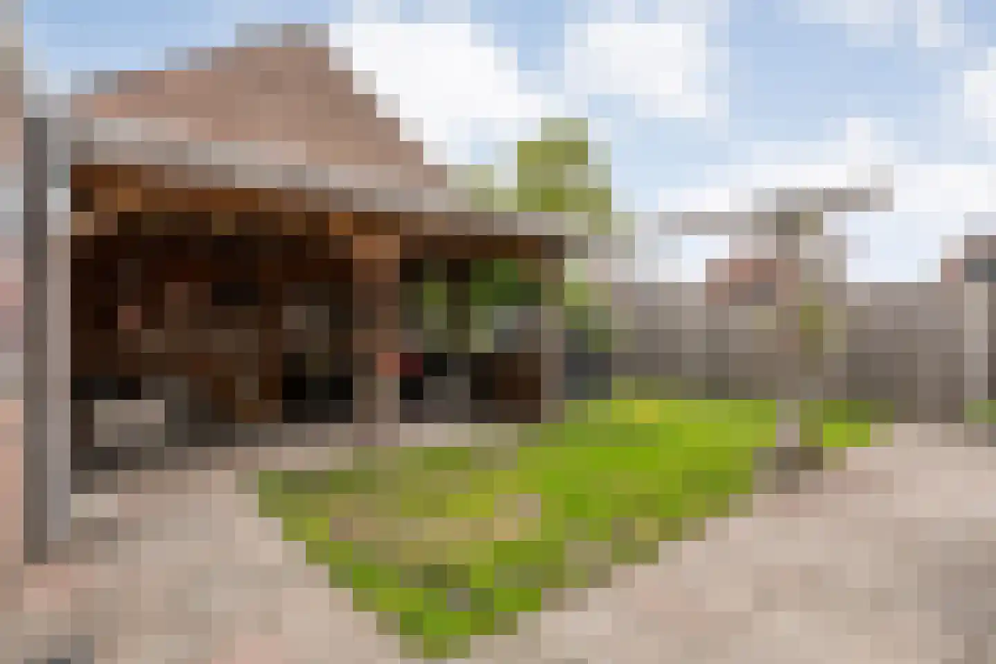 Fazantlaan 2 Ruinerwold thumbnail 32