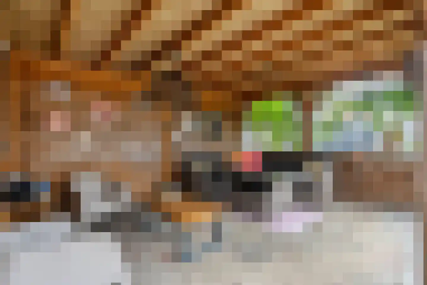 Fazantlaan 2 Ruinerwold thumbnail 34