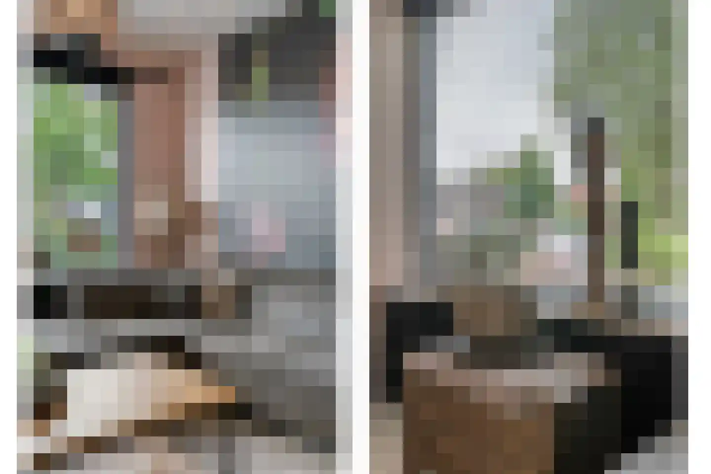 Fazantlaan 2 Ruinerwold thumbnail 4